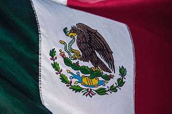 Detailed close-up of the Mexican flag showcasing its vibrant colors and emblem. HD wallpaper