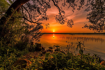 Orange sunset, trees, beautiful, sky, orange, sunset, lake, tranquility, serenity, summer, reflection, branches HD wallpaper