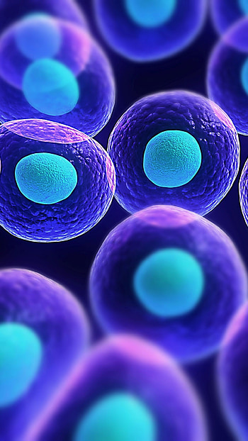 Cells, Biology HD phone wallpaper