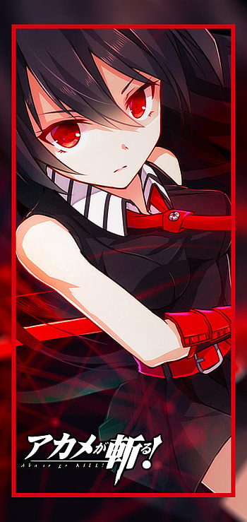 Anime, Akame ga Kill! HD phone wallpaper