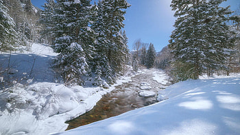 Moonlit Winter Stream Near Aspen, Colorado, forest, snow, river, trees, sky, usa HD wallpaper