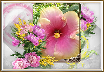 FRAMED FLOWERS, FLOWERS, NATURE, FRAMED HD wallpaper