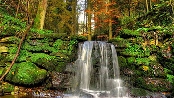 waterfalls over moss covered stones, waterfall, forest, stones, moss HD wallpaper