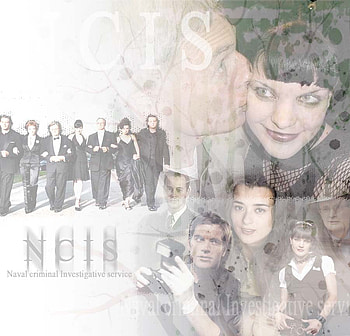 Ncis family, mark harmon, cbs, gibbs, tony, ncis, abby, murder, tim, crime solving, ziva, family HD wallpaper