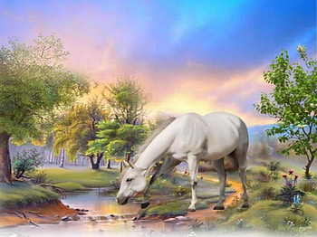The horse that drinks water, horse, path, trees, nature, sky, lake HD wallpaper