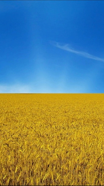 Ukraine flag, sky, solidarity HD phone wallpaper