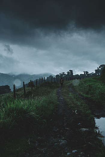 Nature, Fog, Path, Human, Person, Loneliness, Descent, Panama, Los Naranjos HD phone wallpaper