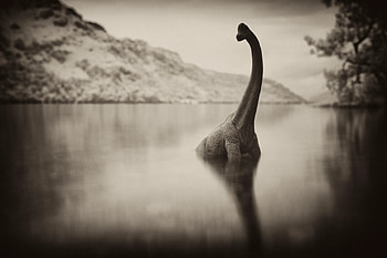 Loch Ness Monster, Hunt, Unexpected results, Intriguing discovery HD wallpaper