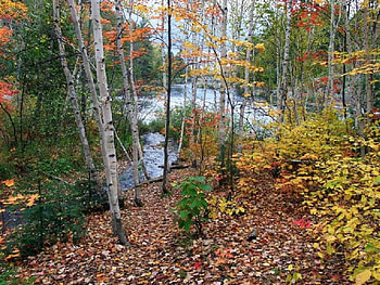 Onaping Falls through the Trees, Canada, falls, white, flowing, bushes, daylight, day, leaves, trees, autumn, nature, sky, canada, water, forest HD wallpaper