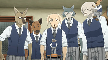 BEASTARS, Season 3 updates, Voice cast, Release date anticipation HD wallpaper