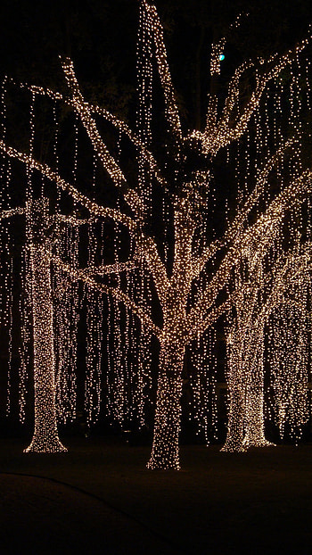 Christmas Lightings, Christmas Background HD phone wallpaper