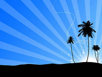 Art, Palms, Glare, Silhouette HD wallpaper