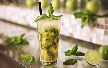 Mint Plant, Cool beverages, Green leaves, Icy refreshment HD wallpaper