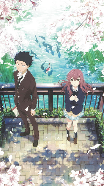 Sakura Reflections — Schoolday , A Silent Voice HD phone wallpaper
