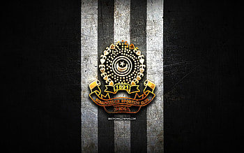 Mohammedan FC, golden logo, Bangladesh Premier League, black metal background, football, bangladeshi football club, Mohammedan SC logo, soccer, Mohammedan SC HD wallpaper