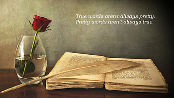 True or Pretty Words, rose, feather, book, flower HD wallpaper