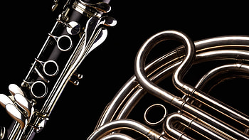 Intimate Brahms concert, Royal Scottish National Orchestra, Musical intimacy, Poetic interpretations HD wallpaper