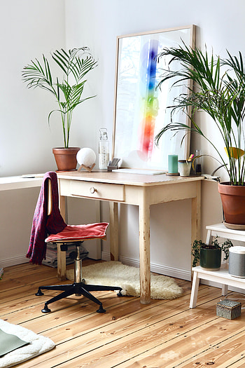 Plants, Art, Interior, Miscellanea, Miscellaneous HD phone wallpaper