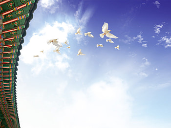 flying birds, blue, sky, birds, art HD wallpaper