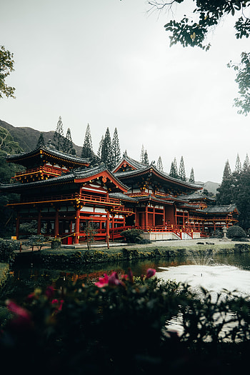Flowers, Trees, Architecture, Lake, Miscellanea, Miscellaneous, Pagoda HD phone wallpaper