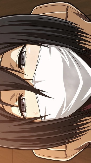Mikasa mask, aot, eren, levi HD phone wallpaper