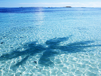 Beach-16, blue, sea, big, ocean HD wallpaper