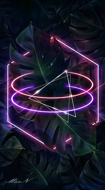 Nature Glow, magenta, art HD phone wallpaper