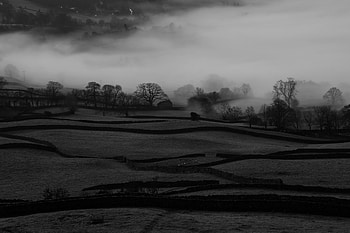 Landscape, Nature, Trees, Fog, Hills, Bw, Chb HD wallpaper