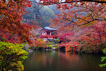 Autumn-Japanese-Garden, Japanese, Nature, Autumn, Garden HD wallpaper