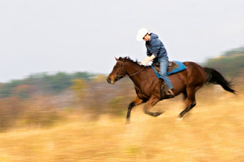 Cowboy, fast, run, horse HD wallpaper