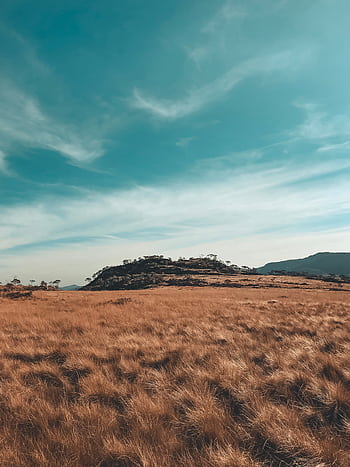 Serene countryside scene in Cruzília, Brazil with golden grasses and blue sky. HD phone wallpaper