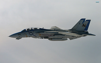 Grumman F-14 Tomcat - Aircraft - HD wallpaper