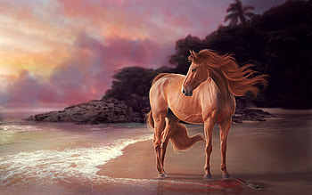 Horse On Beach Artwork, horse, animals, artist, artwork, deviantart HD wallpaper