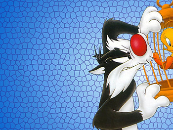 Sylvester the Cat, Looney Tunes, Tweety JM , backgrounds HD wallpaper