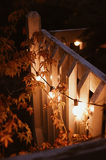 Miscellanea, Miscellaneous, Branches, Lamp, Evening, Glow, Garland, Lamps HD phone wallpaper