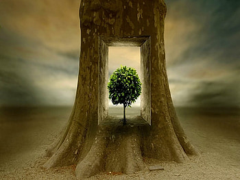 Last nature, trees, fantasy, future, tree HD wallpaper