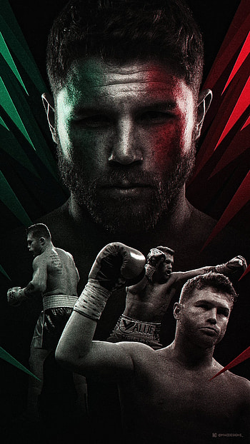 Champion's Aura - Canelo Boxing, Sports, boxing HD phone wallpaper