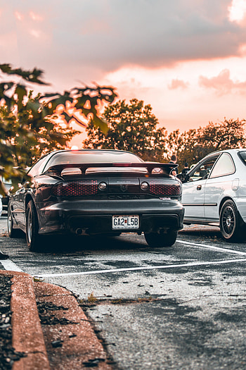 Pontiac, Cars, Car, Machine, Back View, Rear View, Spoiler HD phone wallpaper