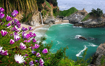 McWay falls, wildflowers, sea, waves, coast, view, waterfall, beautiful, mountain, rocks HD wallpaper