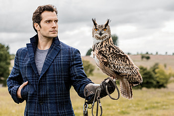 Henry Cavill , henry-cavill, male-celebrities, boys HD wallpaper