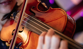 Viola music, Spitting sound, Viola healthcare, Web page HD wallpaper