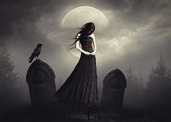 Dark Princess With Rose, rose, dark, fantasy, artist, artwork, digital-art, deviantart HD wallpaper