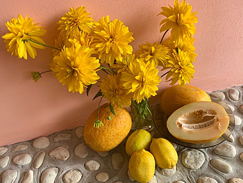 Still life, Balls, Yellow, Vase, Melons HD wallpaper
