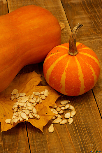 Pumpkin seeds , stock HD phone wallpaper