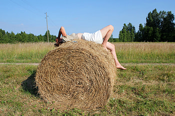 Summer, fields, nature, girls HD wallpaper