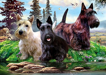 By Howard Robinson, animal, dog, puppy, schnauzer, painting, art, howard robinson HD wallpaper