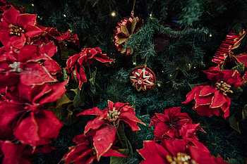 Holidays, New Year, Decorations, Christmas, Holiday, Christmas Tree HD wallpaper