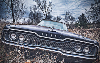 Abandoned Dodge Charger, retro cars, 1966 cars, muscle cars, R, 1966 Dodge Charger, old cars, Dodge Charger, Dodge HD wallpaper