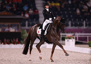 Dressage sports, FEI dressage world cup opener, Herning competition, Star-studded field HD wallpaper