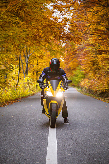 Yamaha yzf r125, moto, automotive lighting, motorcycle, yamaha, yzf r125, autumn HD phone wallpaper